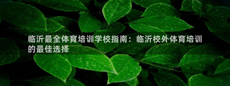 耀世天下网名好吗：临沂最全体育培训学校指南：临沂校外